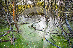 Riverside Nature Reserve Guildford Surrey England