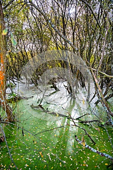 Riverside Nature Reserve Guildford Surrey England