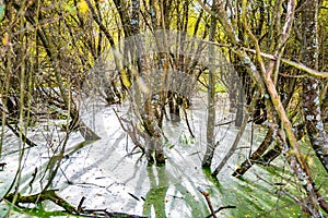 Riverside Nature Reserve Guildford Surrey England