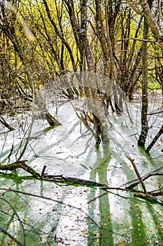 Riverside Nature Reserve Guildford Surrey England