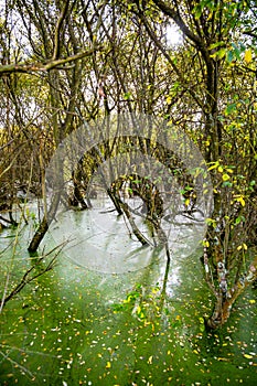 Riverside Nature Reserve Guildford Surrey England