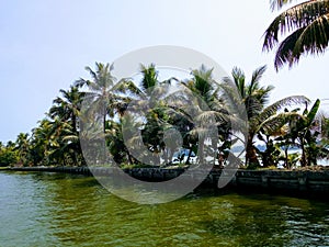 Riverside palm trees at Alleppey Kerala India Alappuzha Kerala houseboat