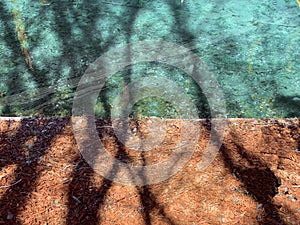 Riverside shoreline lake trees shadows river water clear clean riverbank hiking trail adventure landscape