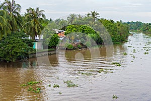 Riverside stilt houses in the Mekong Delta