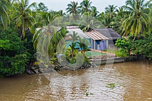 Riverside stilt houses in the Mekong Delta