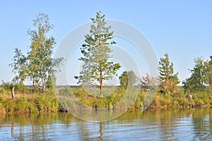 Riverside at sunny day