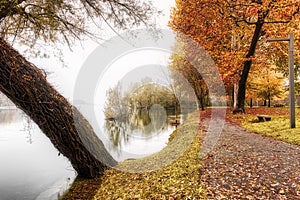 Riverside Ticino in misty landscape of autumn day