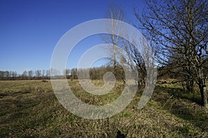 Riverview Wildlife Refuge in Snohomish