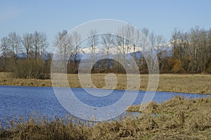 Riverview Wildlife Refuge in Snohomish