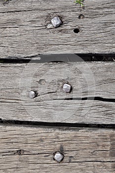 Rivet on old wooden photo