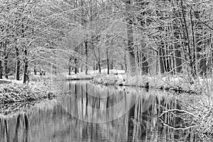 Rivier met bomen in park Puyenbroeck tijdens winter photo