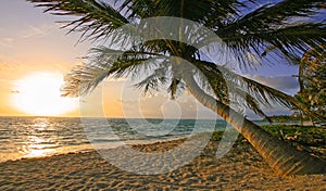 Riviera Maya Beach Sunrise photo