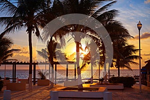 Riviera Maya sunrise beach palm trees