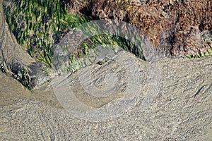 Rivulets in sand along side rock formation covered with marine plants at Shaws Cove Beach. in Laguna Beach, California.