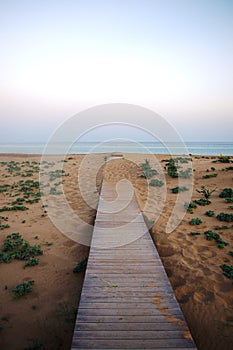 Rizokarpaso Turtle Beach in Northern Cprus photo