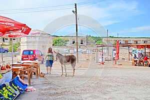 Rizokarpaso, Dipkarpaz, Turkish Northern Cyprus - Oct 3rd 2019: Caucasian woman standing on a street next to wild donkey