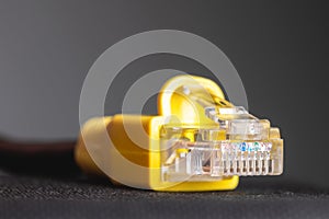 RJ45 network plug close-up on a gray background. Ethernet plug 100 mb