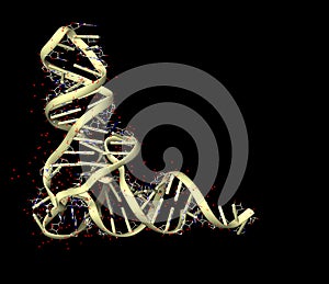 RNA photo