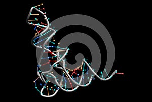 RNA photo