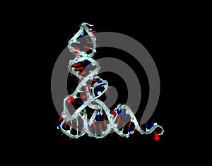 RNA