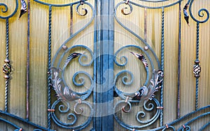 Rnate wrought-iron elements of metal gate decoration