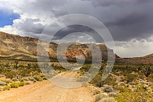 Road 1005, Littlefield, AZ 86432, USA