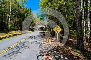 Road in Acadia National Park Maine