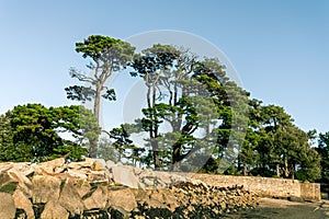 Road access to Bender Island in the Gulf of Morbihan. France