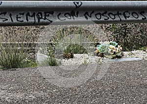 Road accident mourning scene with posthumous flowers and text on road bars. photo