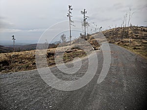 Road across Biskupia Kopa mountain photo