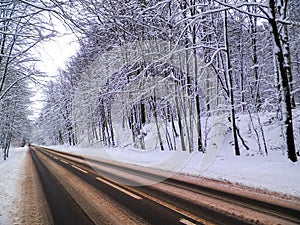 Road across forest in Wiezyca. Winter season in northern Poland