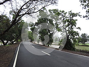 Road adjoining Western Ghats of India- Monsoon season