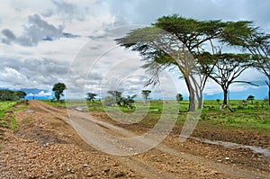 road in the African savannah