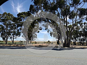 On the road again stop