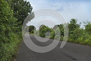 Road ahead of the new asphalt road. Beside with green grass and green trees.