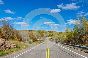 Road in Algonquin Park