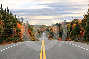 Road through Algonquin Provincial Park in fall, Ontario, Canada photo