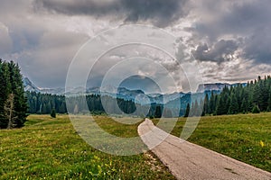 The road along the alpine meadows. High mountains.