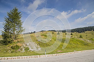 Road along a alpine pastures on Italian Alps