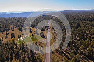 The road along the Apache Sitgreaves National Forest against a blue sky