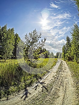 Road along the edge of the forest on a Sunny summer day, blue sky with light clouds, green field, Russia
