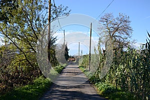 A road along the fields in the French campain