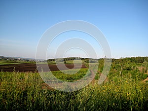 The road along fields
