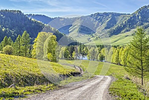 The road along the forest, spring meadows and fields