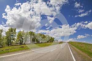 The road along the forest, spring meadows and fields