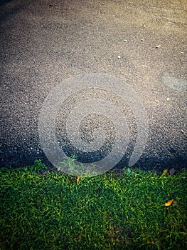 Road along the green lawn asphalt.