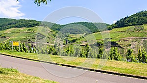 road along Mosel river in Cochem - Zell region