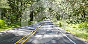 Road along trees on a sunny day with motion blur