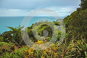 Road along the West Coast of the South Island, view of wide ocean, New Zealand