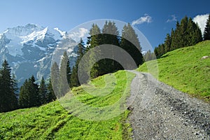 A road in alps